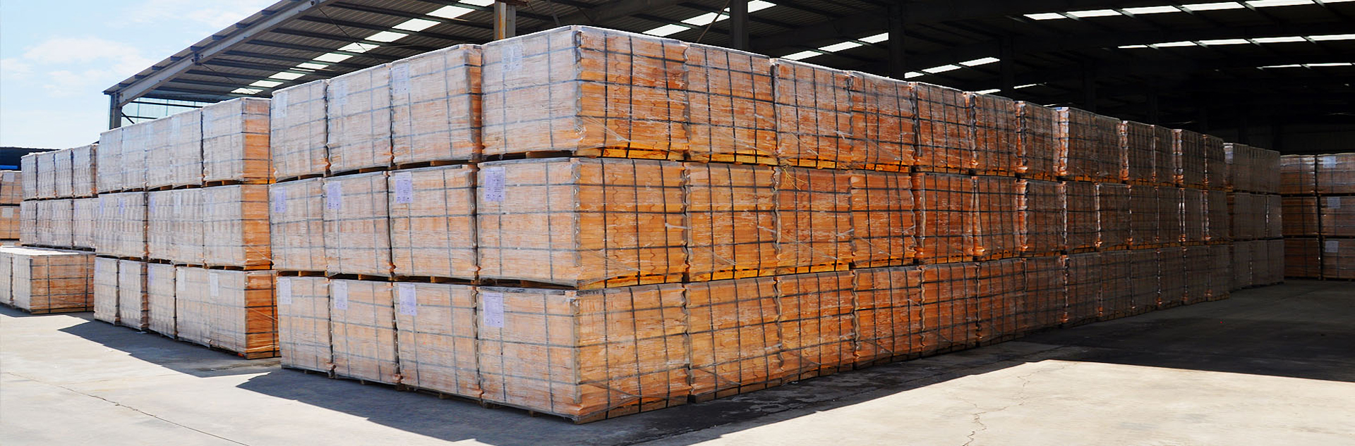 �@���ǵ�һ���DƬ